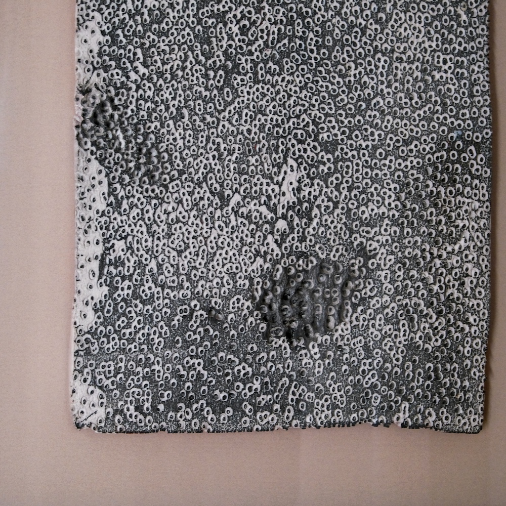 Discover the Artistry of Maltese Lace The Snop House