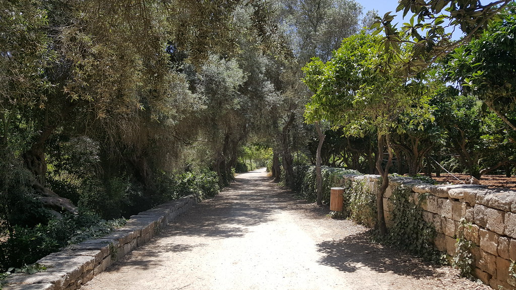 Buskett Gardens Malta