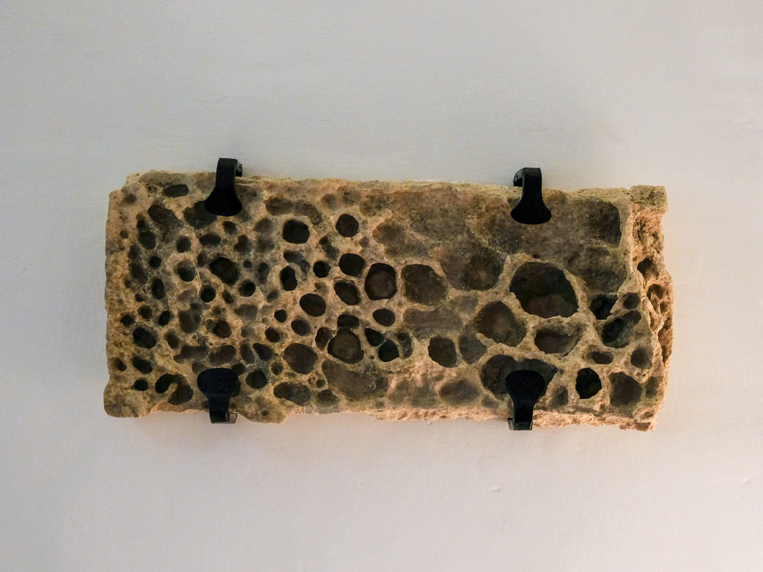 Honeycomb Globigerina
Limestone. Gozo. 25 million
years old
Photo Cyril Sancereau
Collection The Snop House