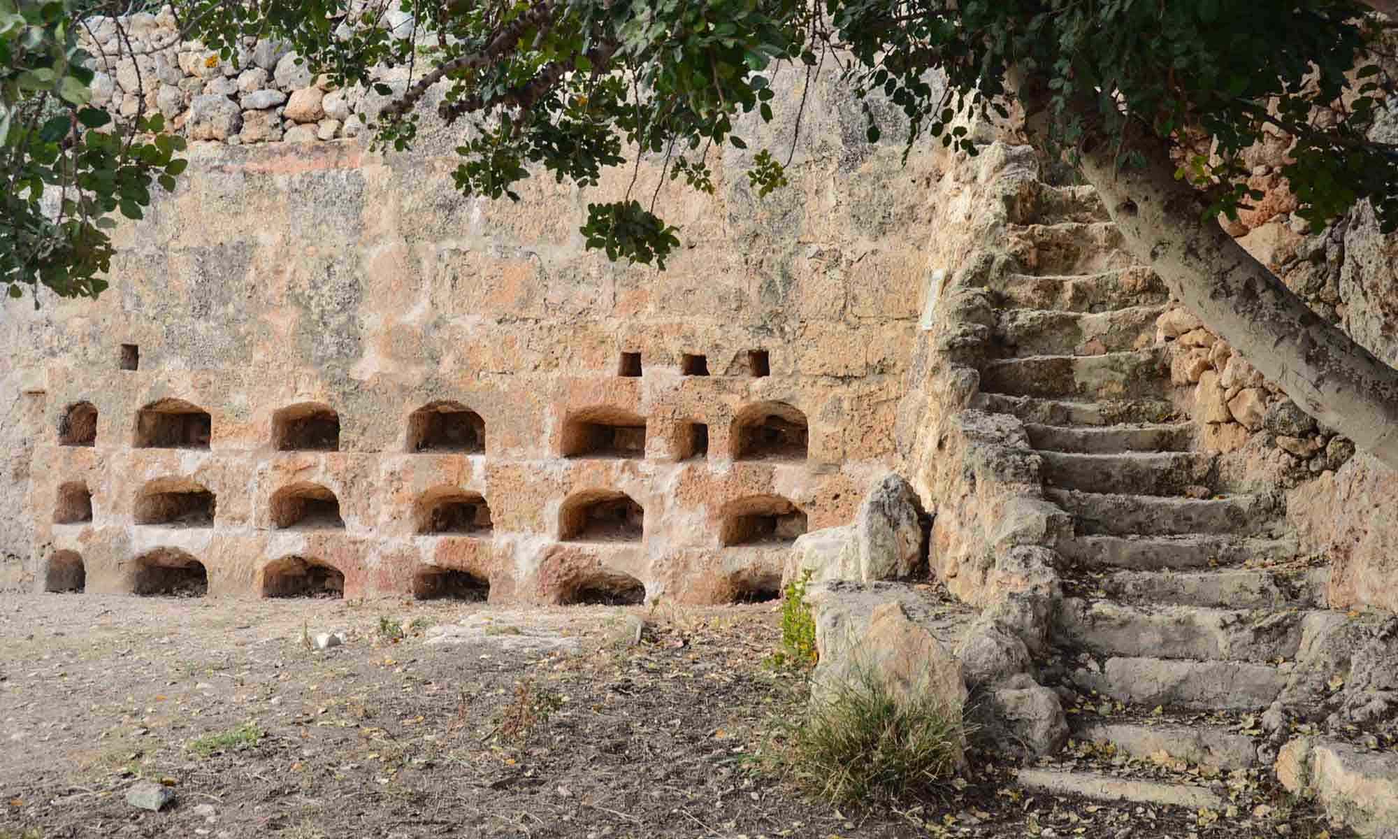 Apiary in Xemxija (photo TA Mitchel)