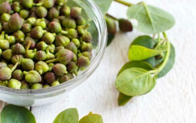 Taste the Maltese Capers: A Mediterranean Delight