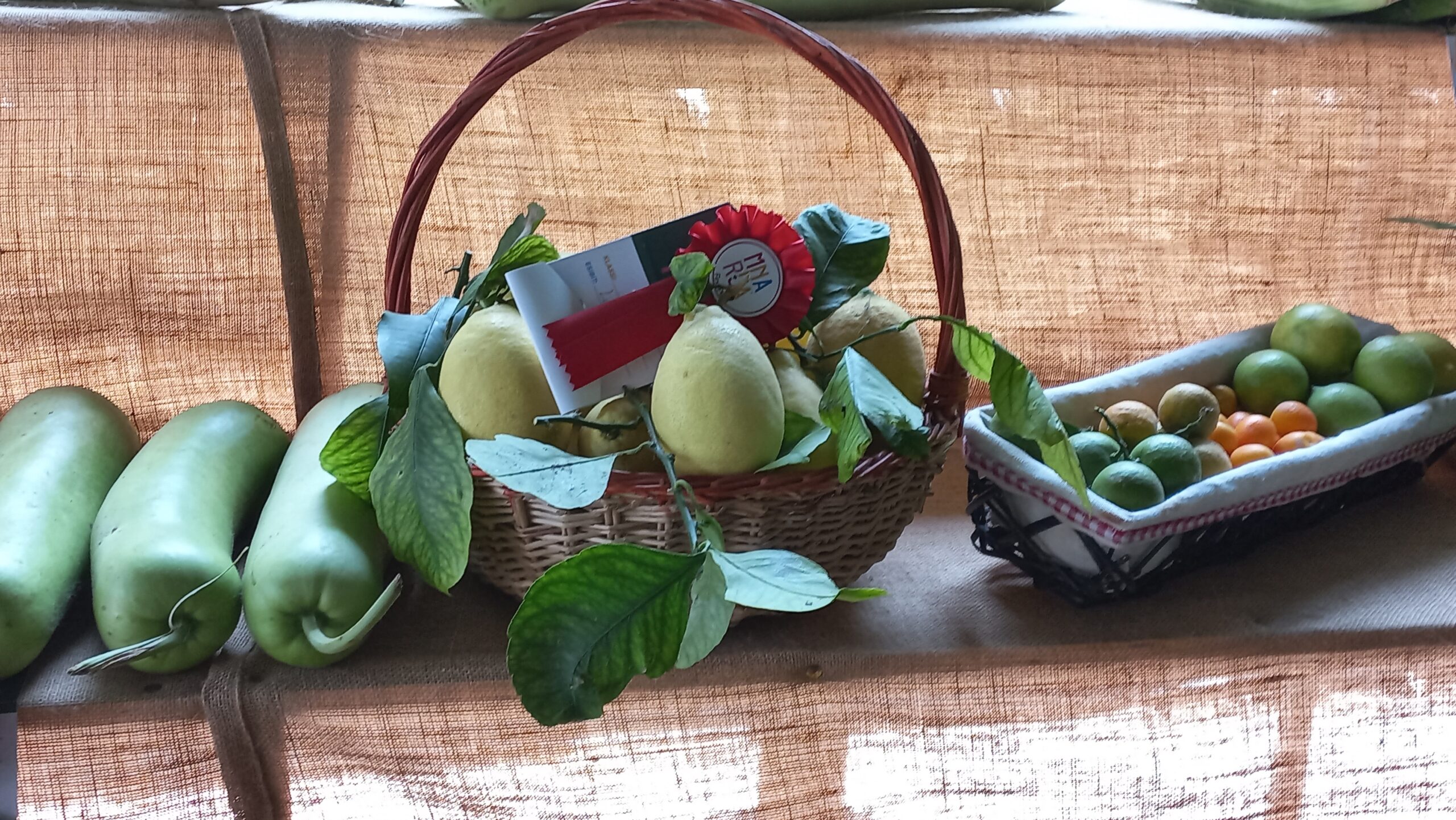 L-Imnarja: The Harvest Festival and Maltese Identity