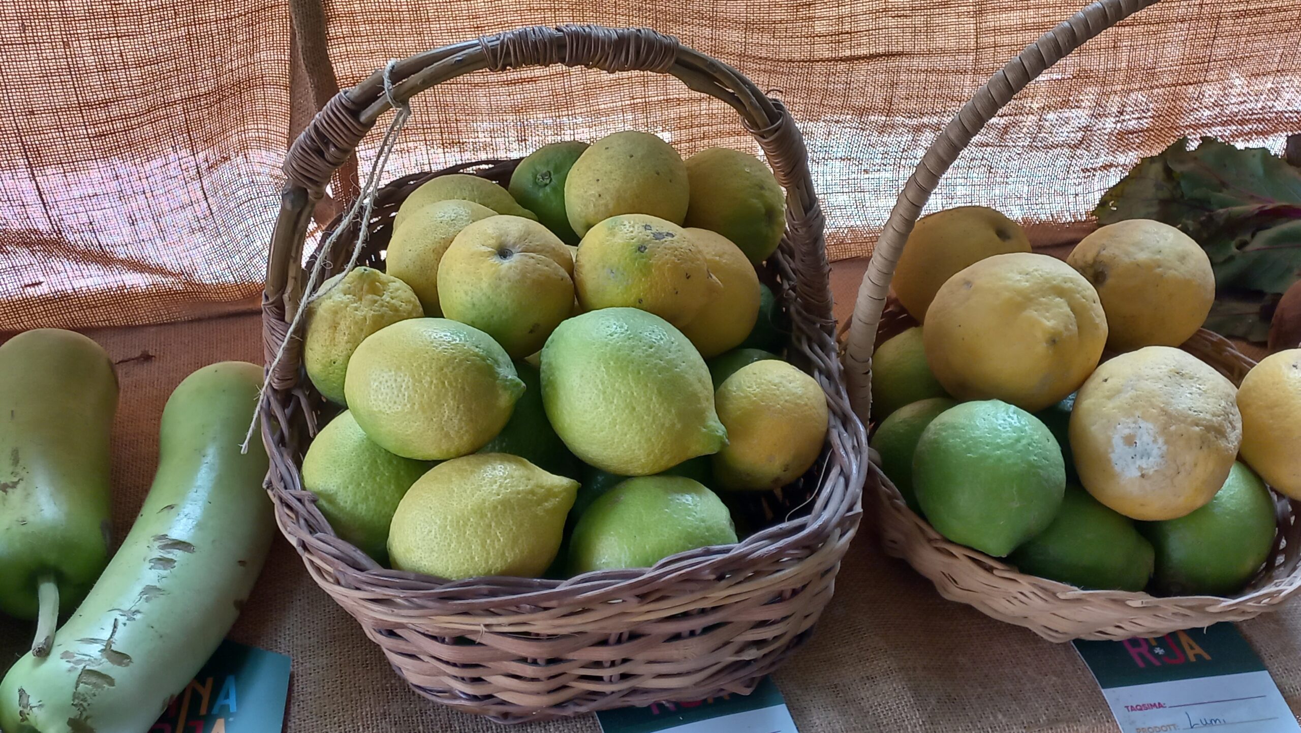 L-Imnarja - Lemons L-Imnarja - Lemons