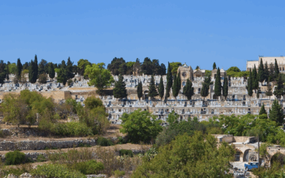 Addolorata Cemetery in Paola, Malta: A Hidden Gem of Heritage, History, and Art