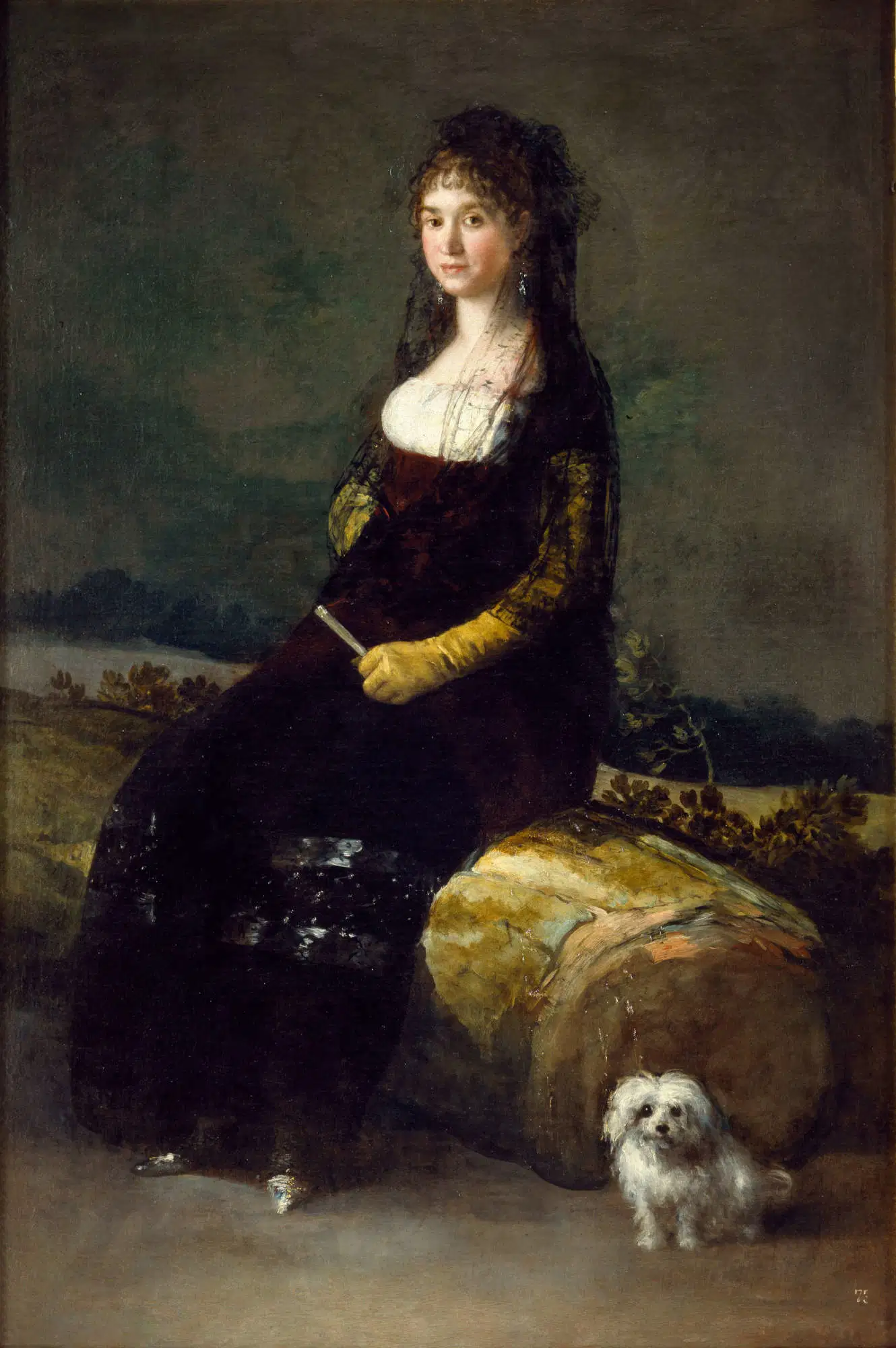 Francisco Goya, Portrait of Doña Joaquina Candado