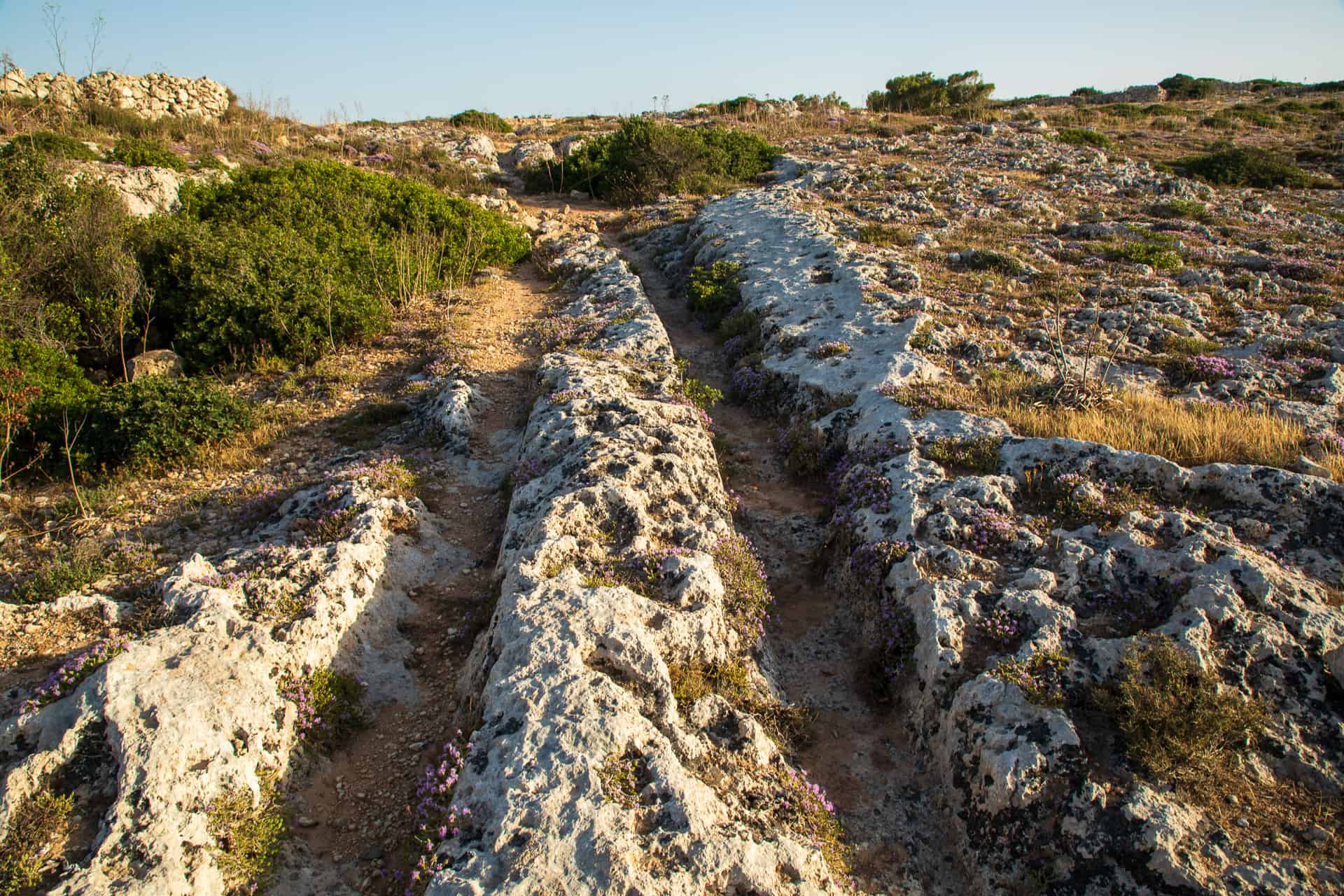 Cart ruts at Misrah Ghar il-Kbir