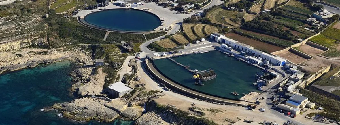 Malta, the Studio Island: Malta Film Studios, Mythical Sets, and Kalkara’s Sea-Level Pools