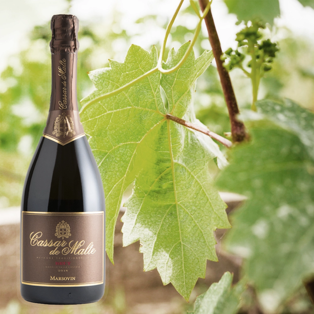 A Maltese Celebration, Champagne Style: Discover Cassar de Malte at The Snop House